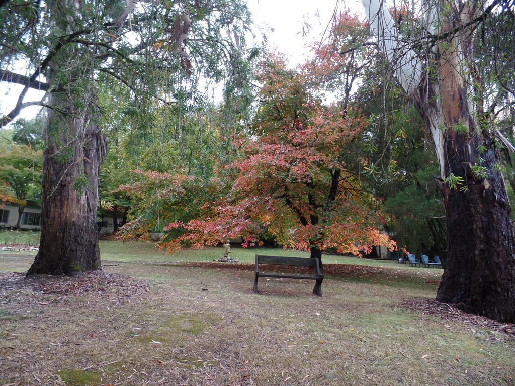 Alpine Riverside Cottages Porepunkah Exterior photo